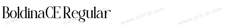 BoldinaCE Regular字体转换 BoldinaCE Regular字体转换